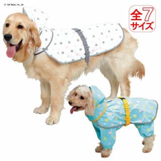 雨でも楽しくお散歩 レインコート ファッションショー アイリスプラザ メディア