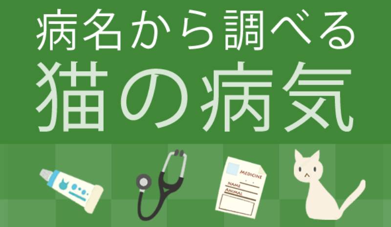 夏に多いこんなトラブル 応急処置編 アイリスプラザ メディア