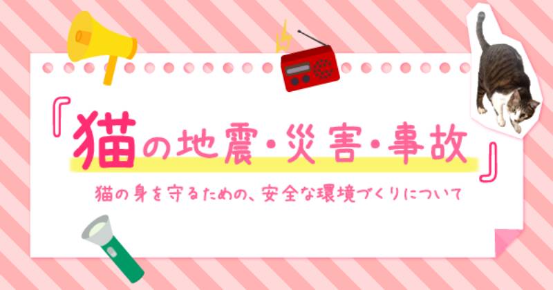 猫の応急処置マニュアル 猫の地震 災害 事故について アイリスプラザ メディア