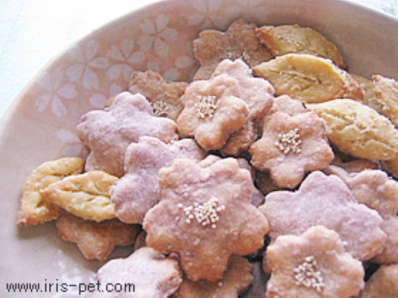 犬の手作り おやつレシピ おからクッキー さくらバージョン アイリスプラザ メディア