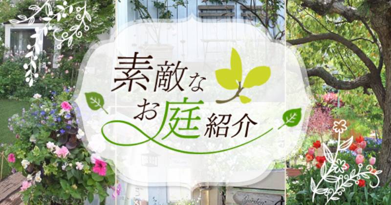 花いっぱいのフレグランスガーデン 02 Rakkoさん アイリスプラザ メディア