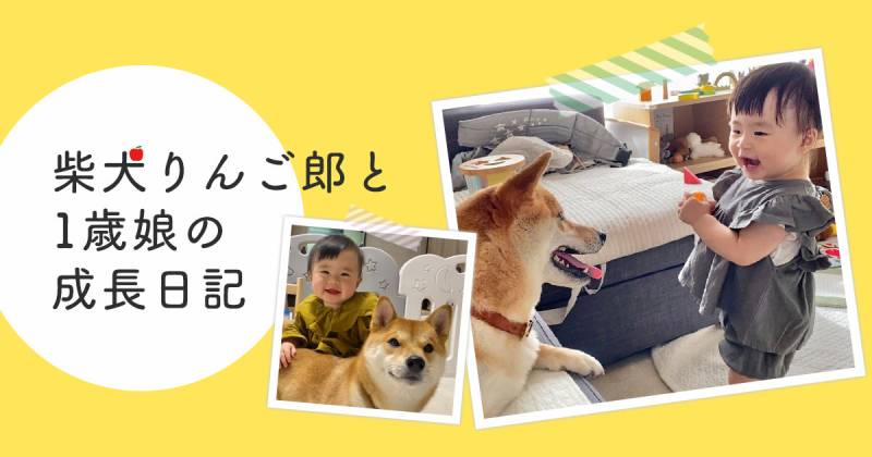 宇宙語を喋る娘の話し相手になりつつある柴犬兄さん 柴犬りんご郎と1歳娘の成長日記 アイリスプラザ メディア