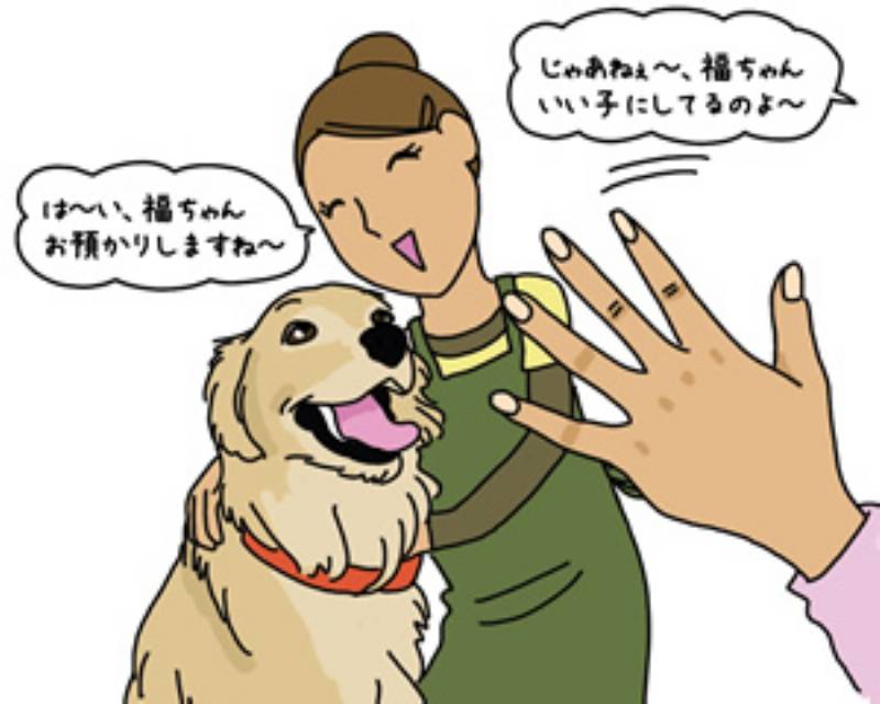 第２３回 女優顔負け トリマーさんに一体何が アイリスプラザ メディア