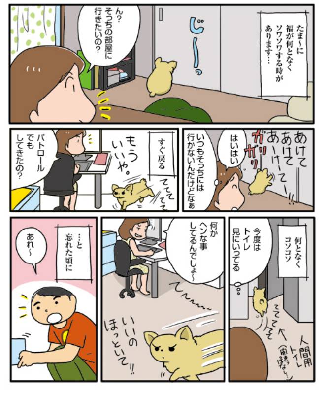 部屋の隅に アイリスプラザ メディア