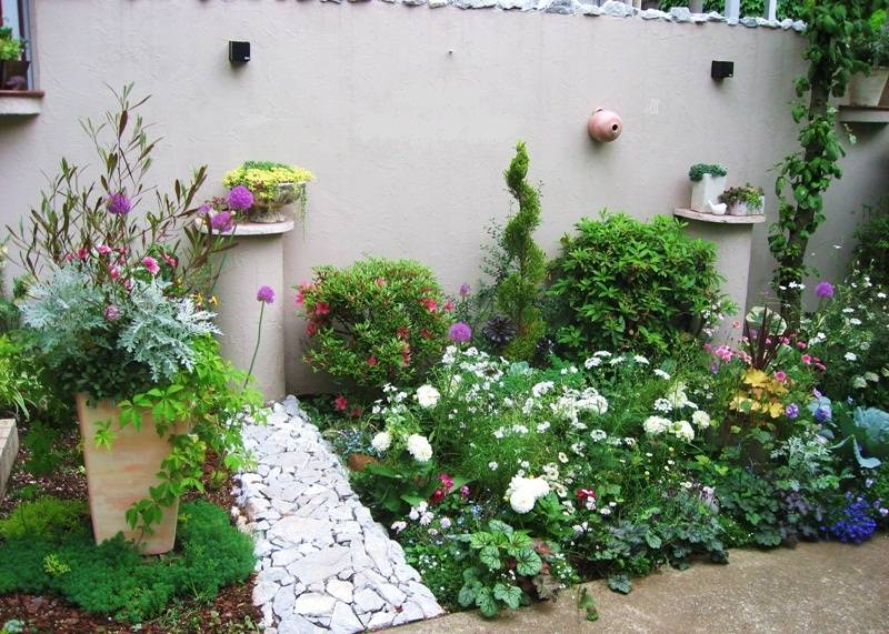 配色にこだわった 美しい庭を目指して 79 Daisy Beeさん アイリスプラザ メディア