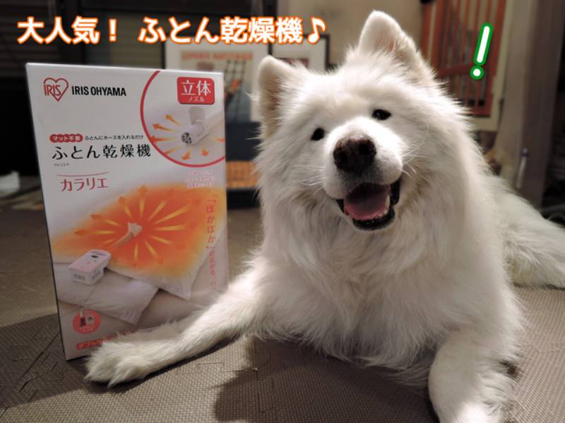 マルチに活躍 ふとん乾燥機カラリエ アイリスプラザ メディア