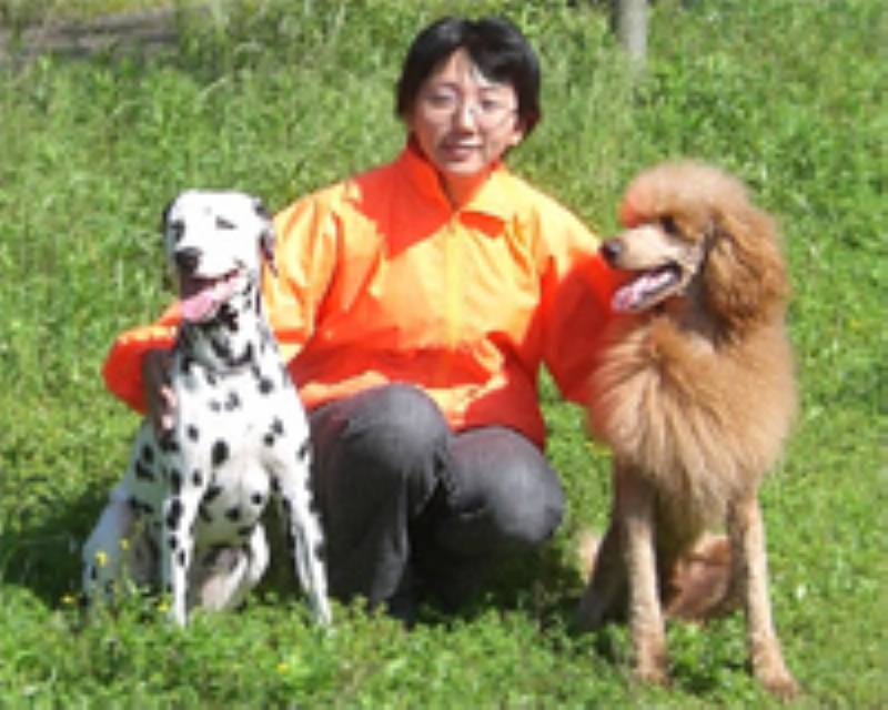犬のためなら訓練 看護 トリミングも本格的に勉強 充実したドッグライフ アイリスプラザ メディア