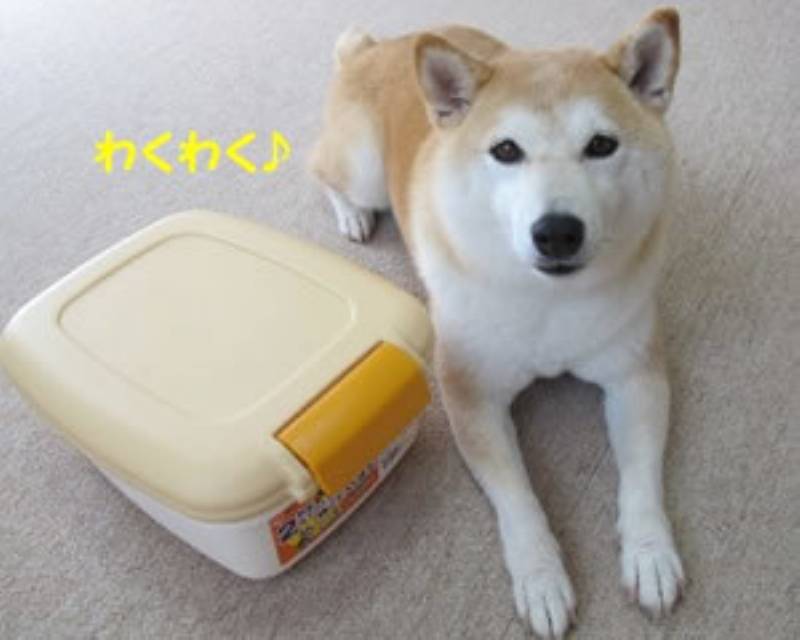 密閉フードストッカー 柴犬のチコチコ動画日記 チコママのアイリス商品吟味レポート アイリスプラザ メディア