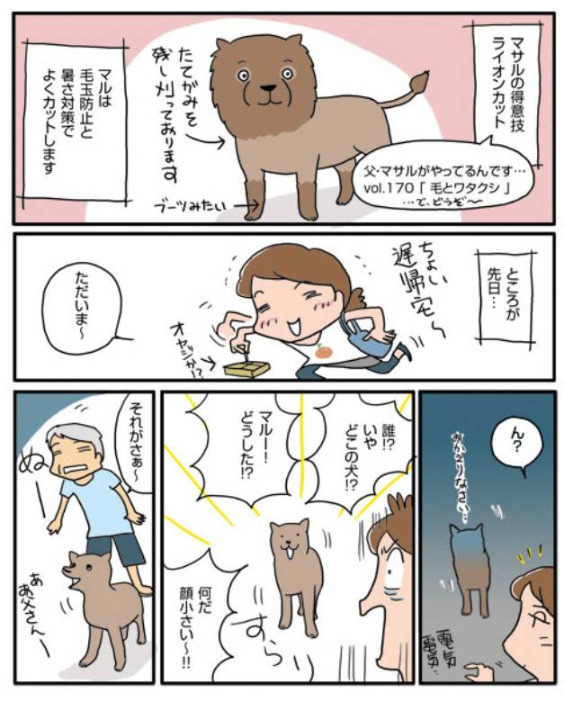 マル 普通の犬になる アイリスプラザ メディア