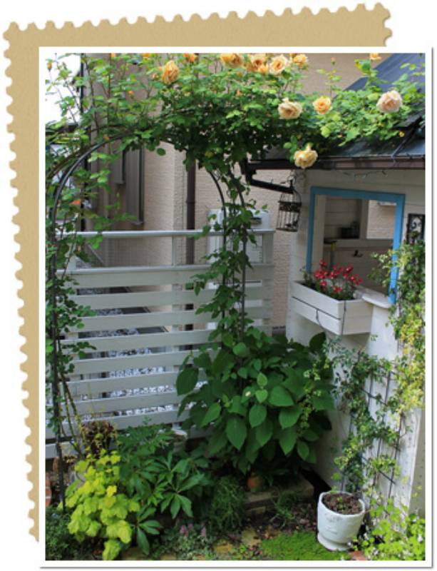 家族で作り上げた理想の庭景色 150 ネスカルさん アイリスプラザ メディア