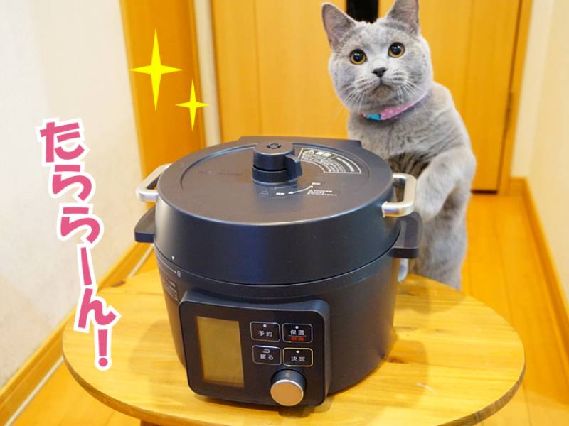 荎IdC͓I
