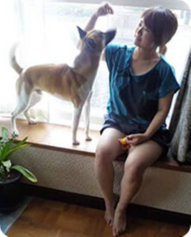 おうちでシャンプー ブロー お掃除 アイリスプラザ メディア