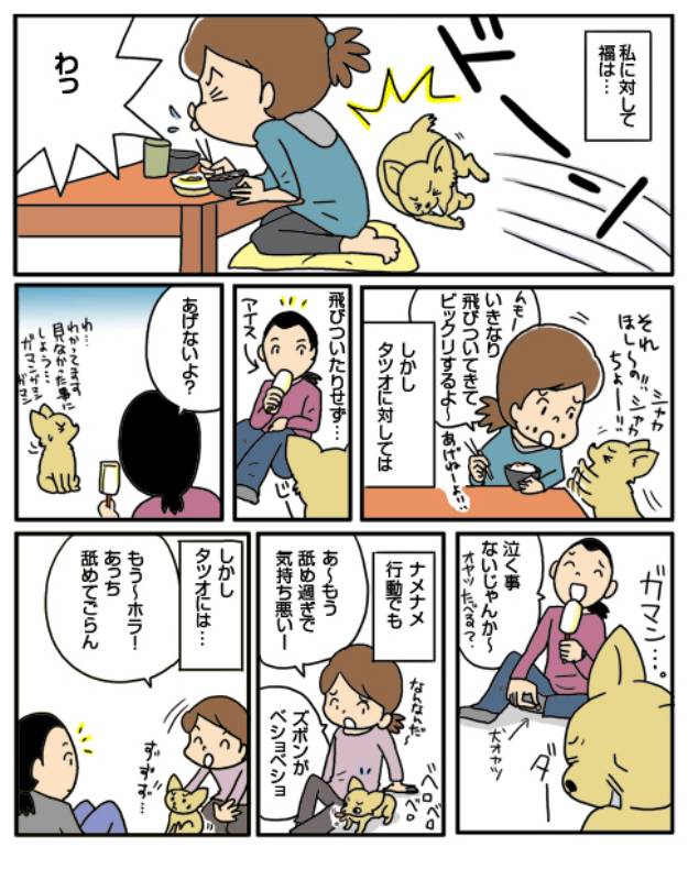 ２人の飼い主 アイリスプラザ メディア