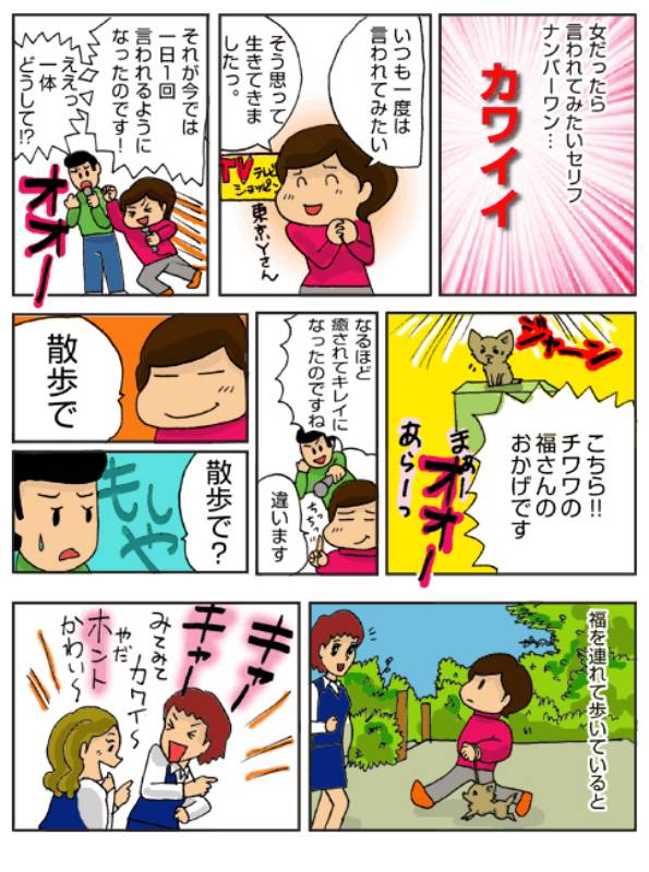 キャー カワイイ アイリスプラザ メディア