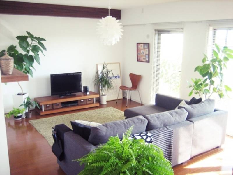 第43回 インテリアグリーン 落ち着き 癒しのグリーン アイリスプラザ メディア